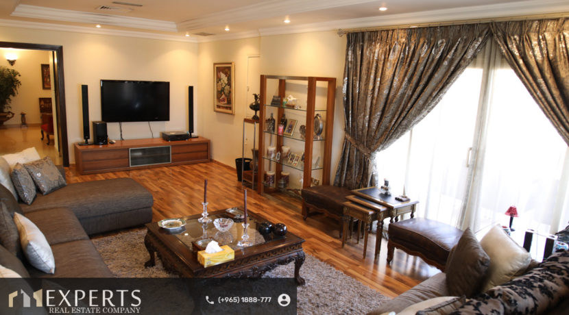 5-TV-ROOM-1st-FLOOR-6