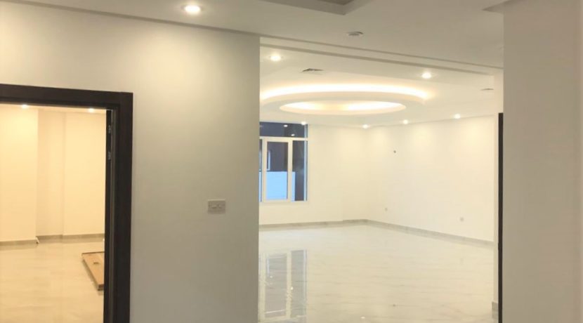 FUNTITEES-SUPER-DELUXE (13)