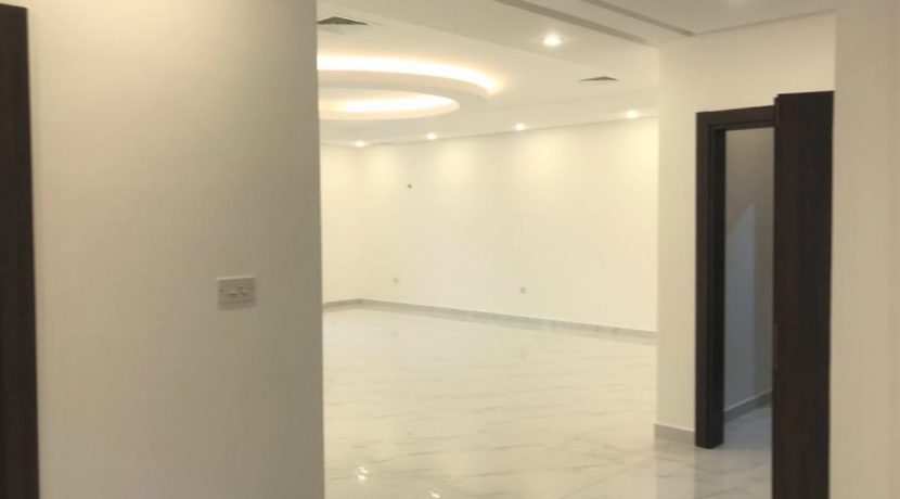 FUNTITEES-SUPER-DELUXE (14)