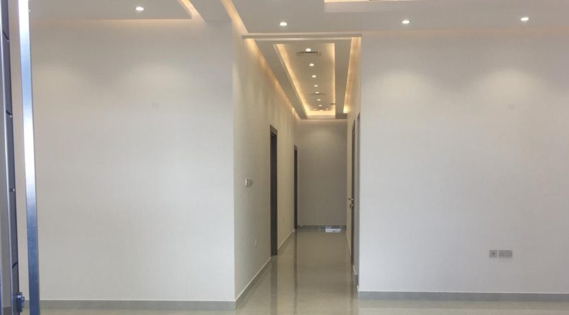 Abu-Futaira-18-1-2020- (8)